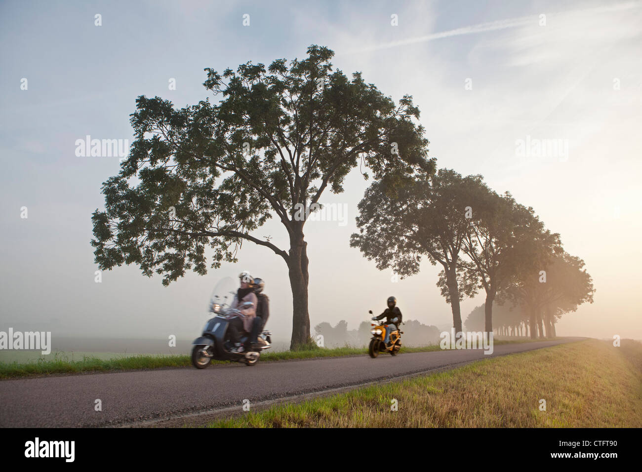 Niederlande, Zuid Beemster, Beemster Polder, Bäume und Straße am Deich, die Polder umgibt. Junge Menschen auf Motorrädern Stockfoto