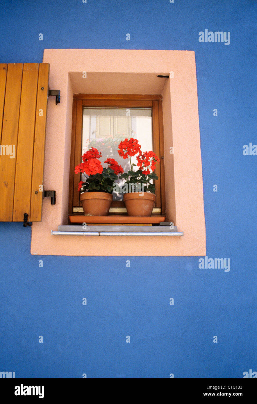 BALKONKÄSTEN MIT ROTEN GERANIEN BLAUE WAND PROVENCE FRANKREICH Stockfoto