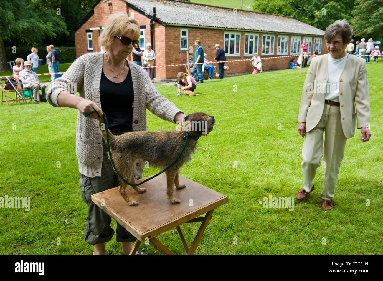 Hundeausstellung bei kleinen ländlichen Land Show am Bauernhof bei Cwmdu Powys Wales UK Stockfoto