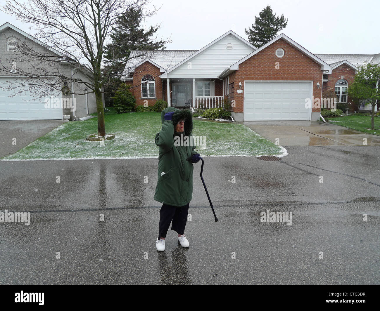 Eine unerschrockene ältere Rentner in ihren neunziger Jahren umklammert ihre Haube in kalt blustery Schneewetter im April 2012 Ontario Kanada Stockfoto