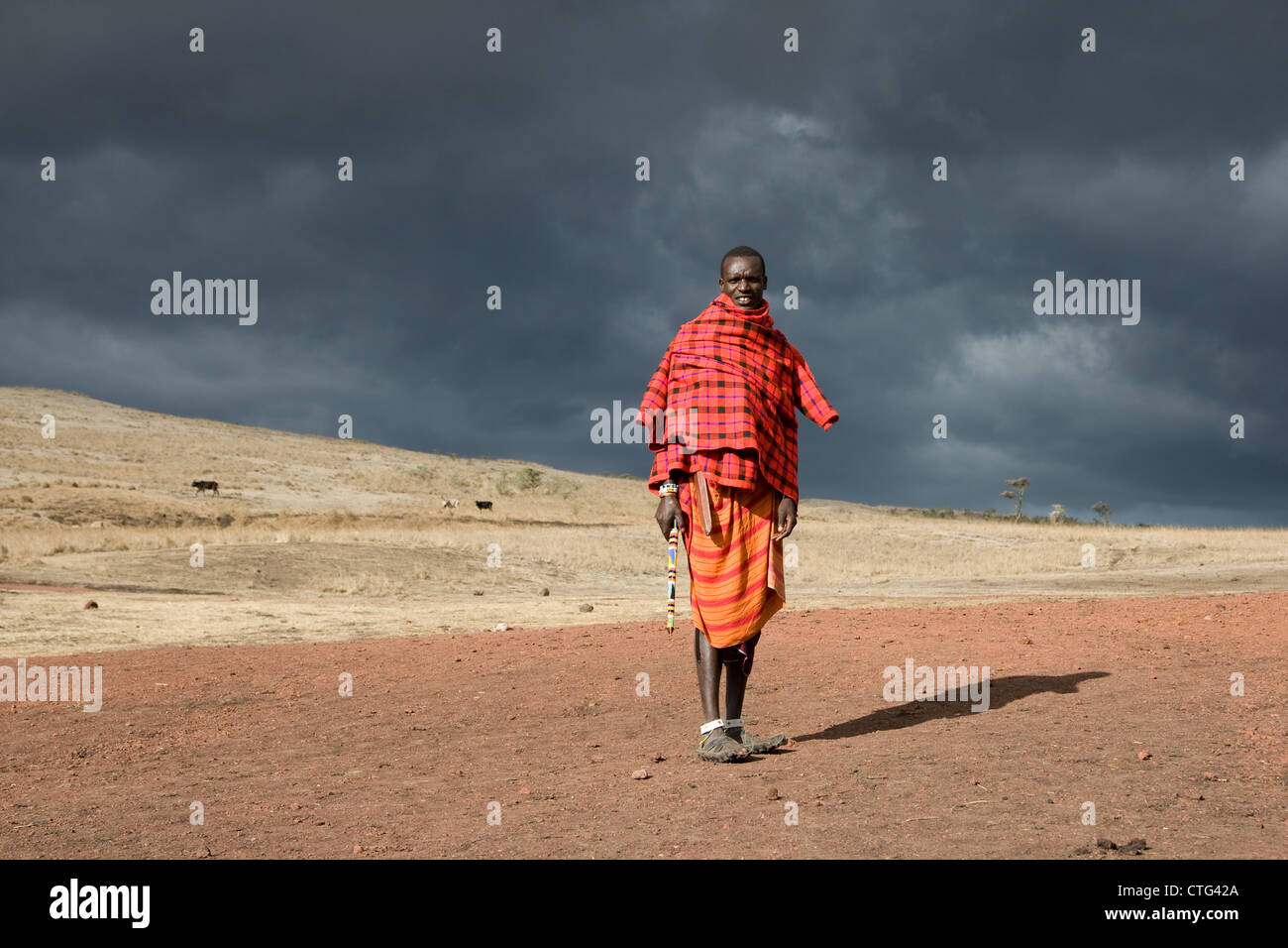 Massai, Maasai, Masaai, Menschen in Tansania, Afrika. Stockfoto