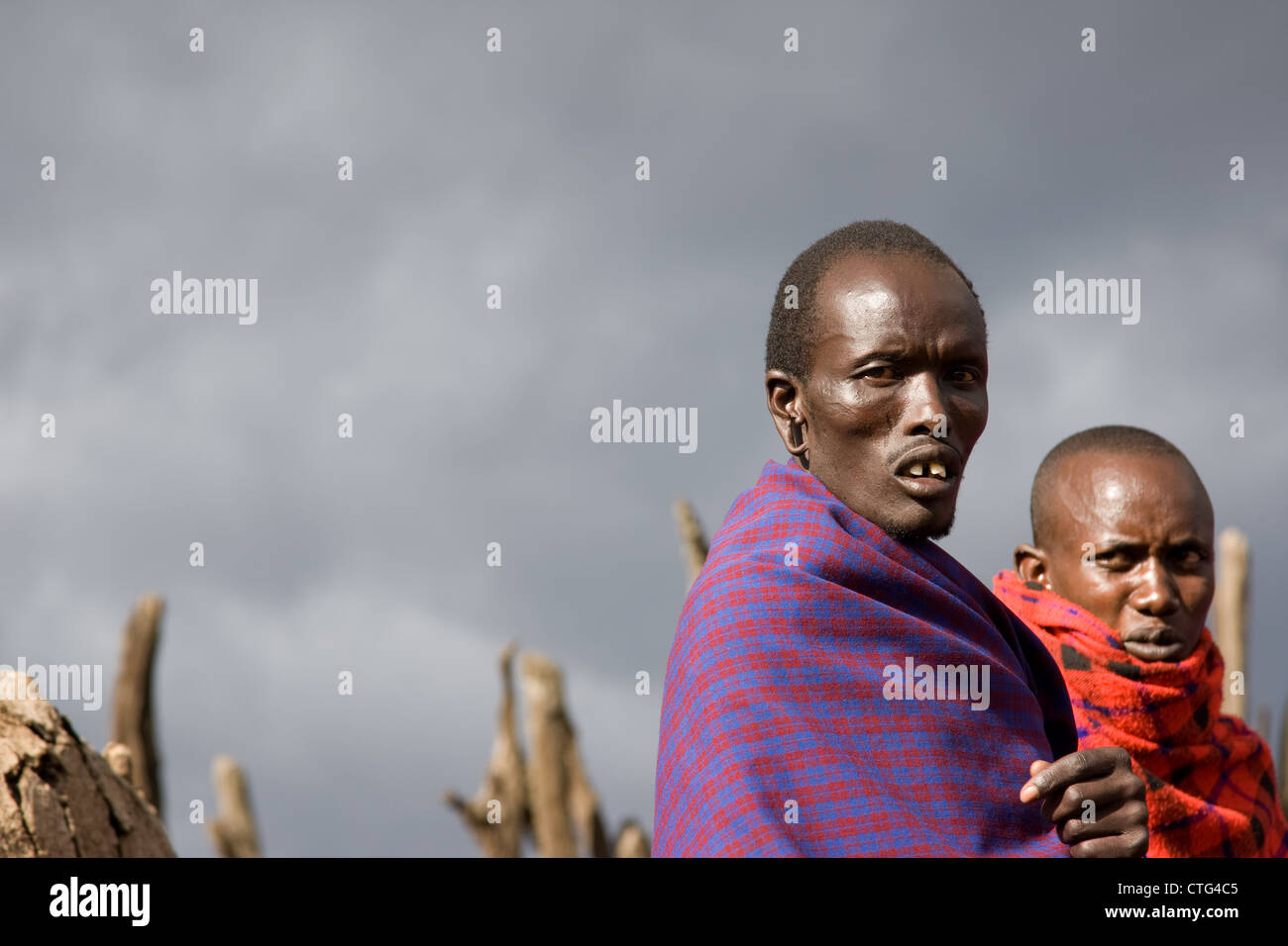 Massai, Maasai, Masaai, Menschen in Tansania, Afrika. Stockfoto