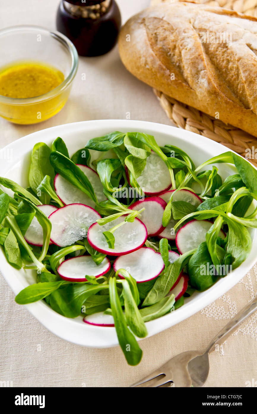 Radieschen, Feldsalat Salat mit Senf-dressing Stockfotografie - Alamy