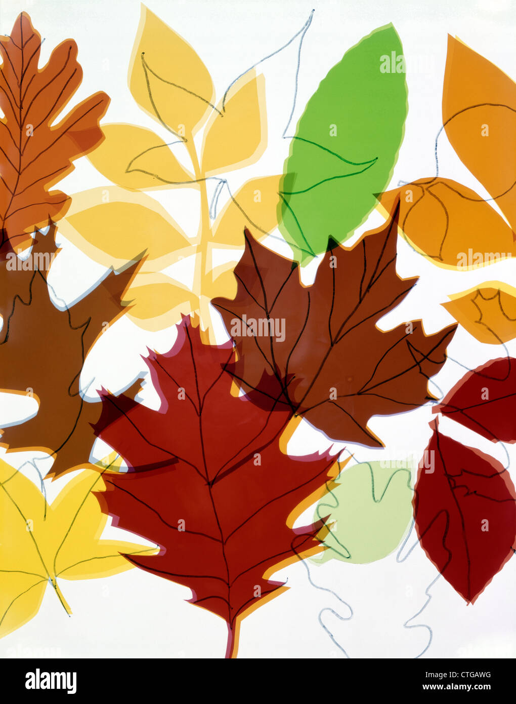 MUSTER-COLLAGE-HERBSTLAUB Stockfoto