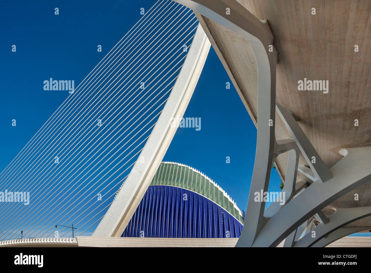 Stadt der Künste und Wissenschaften, entworfen von Santiago Calatrava Valencia, Spanien Stockfoto