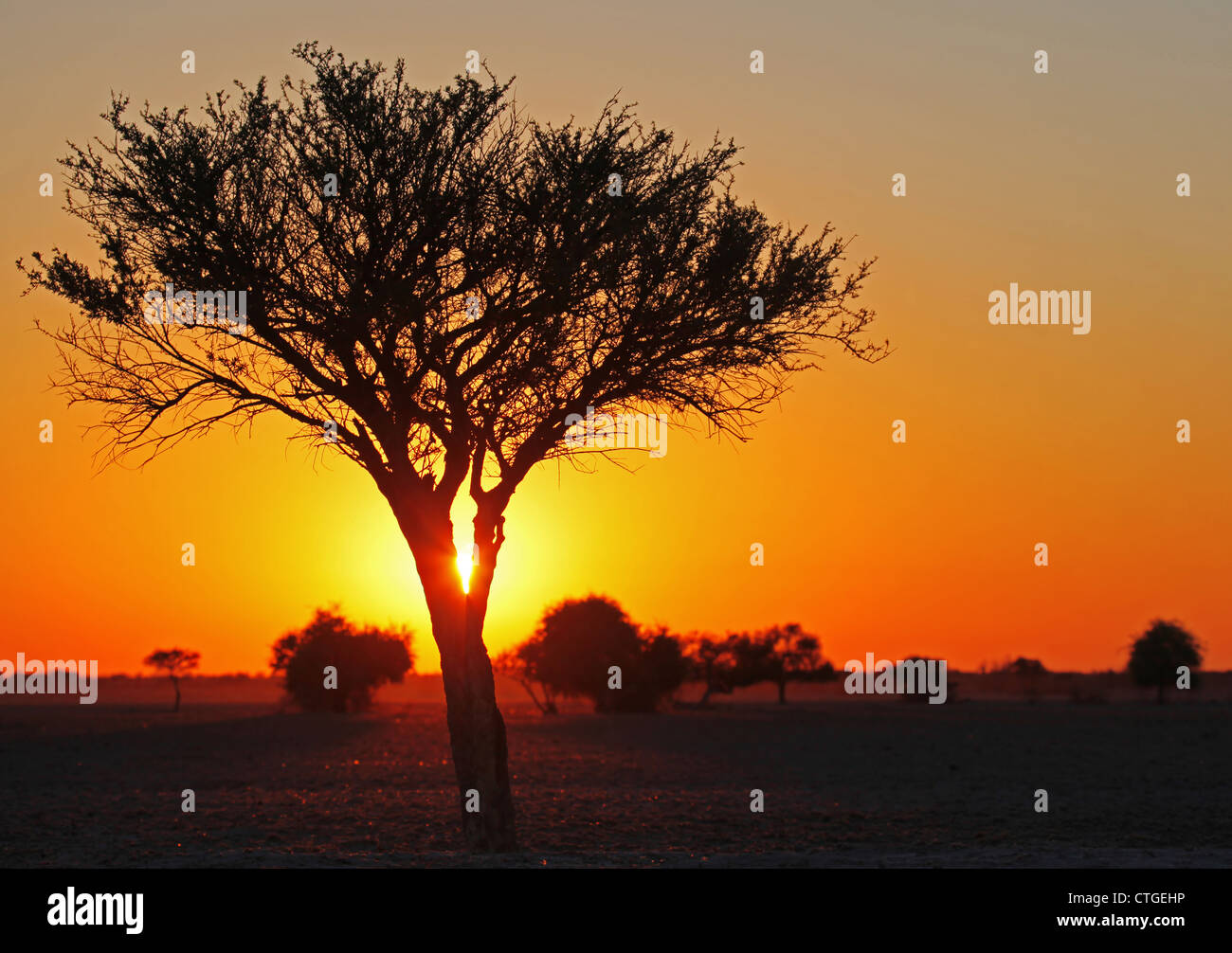 Sonnenaufgang am central Kalahari game Reserve in Botswana Stockfoto