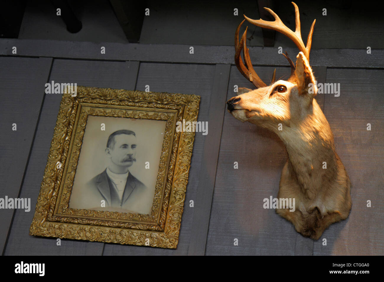 Stuart Florida, Cracker Barrel, Restaurant Restaurants Essen Essen Essen Essen Essen gehen Cafe Cafés Bistro, innen, Dekor, Innenarchitektur, Americana, Thema, de Stockfoto