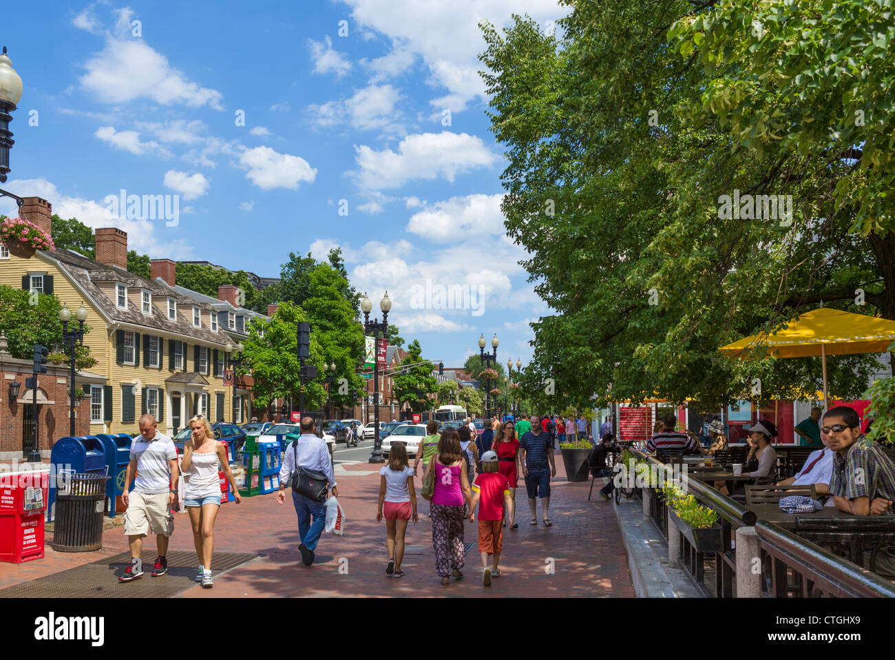 Massachusetts Avenue aus Harvard Square, Cambridge, Boston, Massachusetts, USA anzeigen Stockfoto
