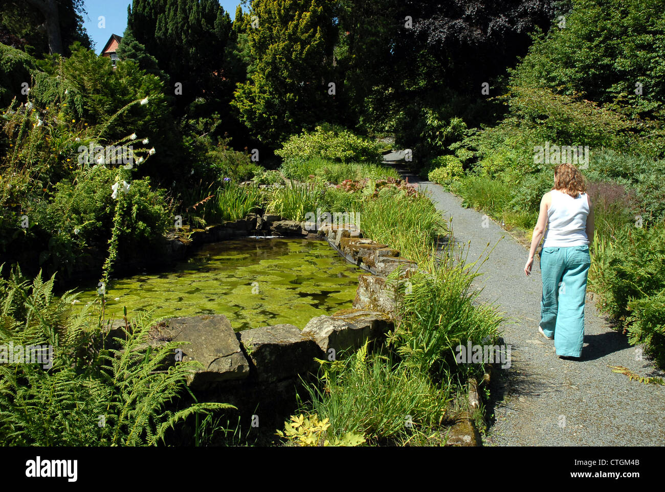 Eine Frau auf einem Pfad am Hergest Croft Gärten, Kington, Herefordshire Stockfoto