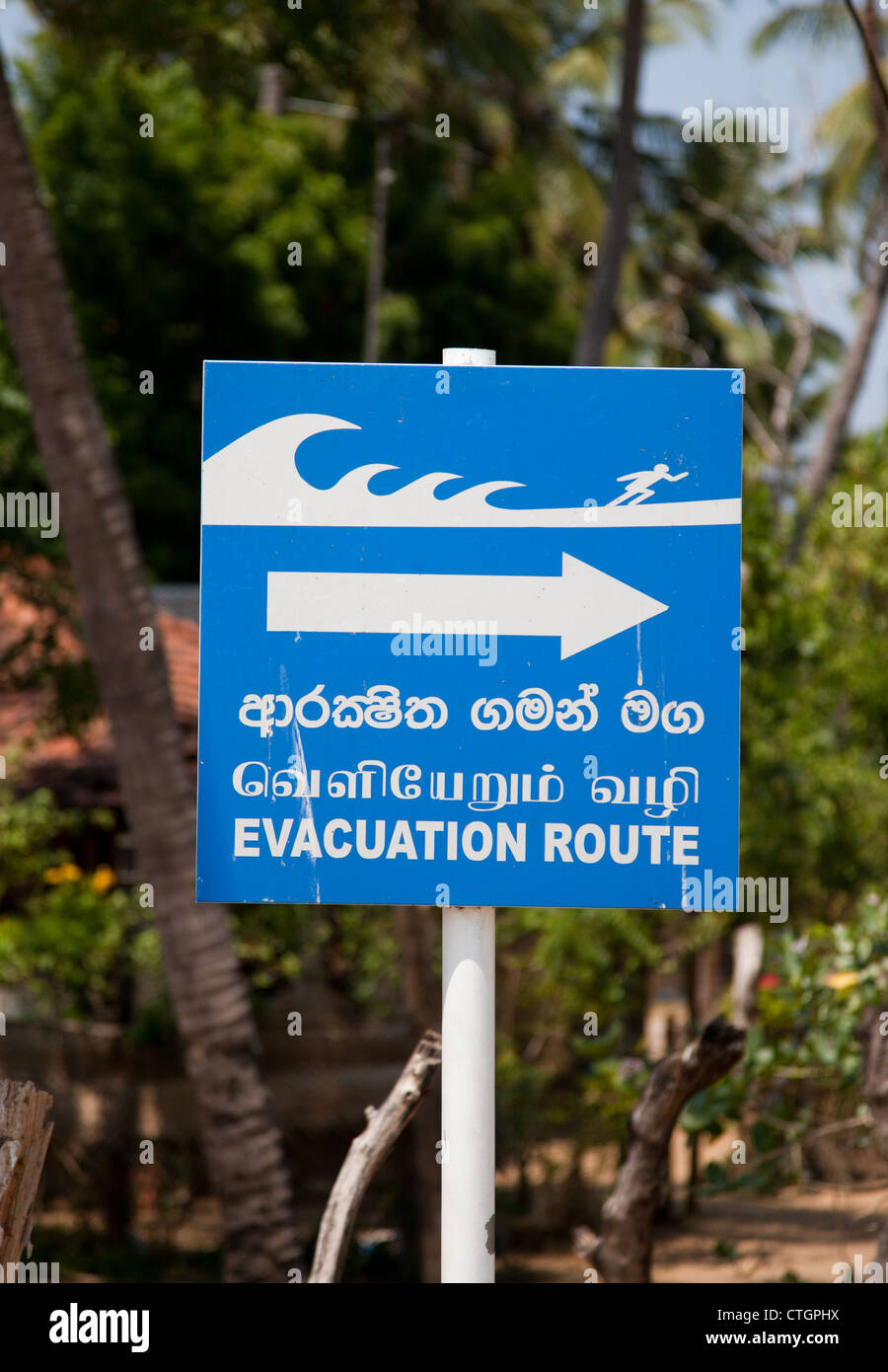 Tsunami-Warnschild, Arugam Bay. Stockfoto