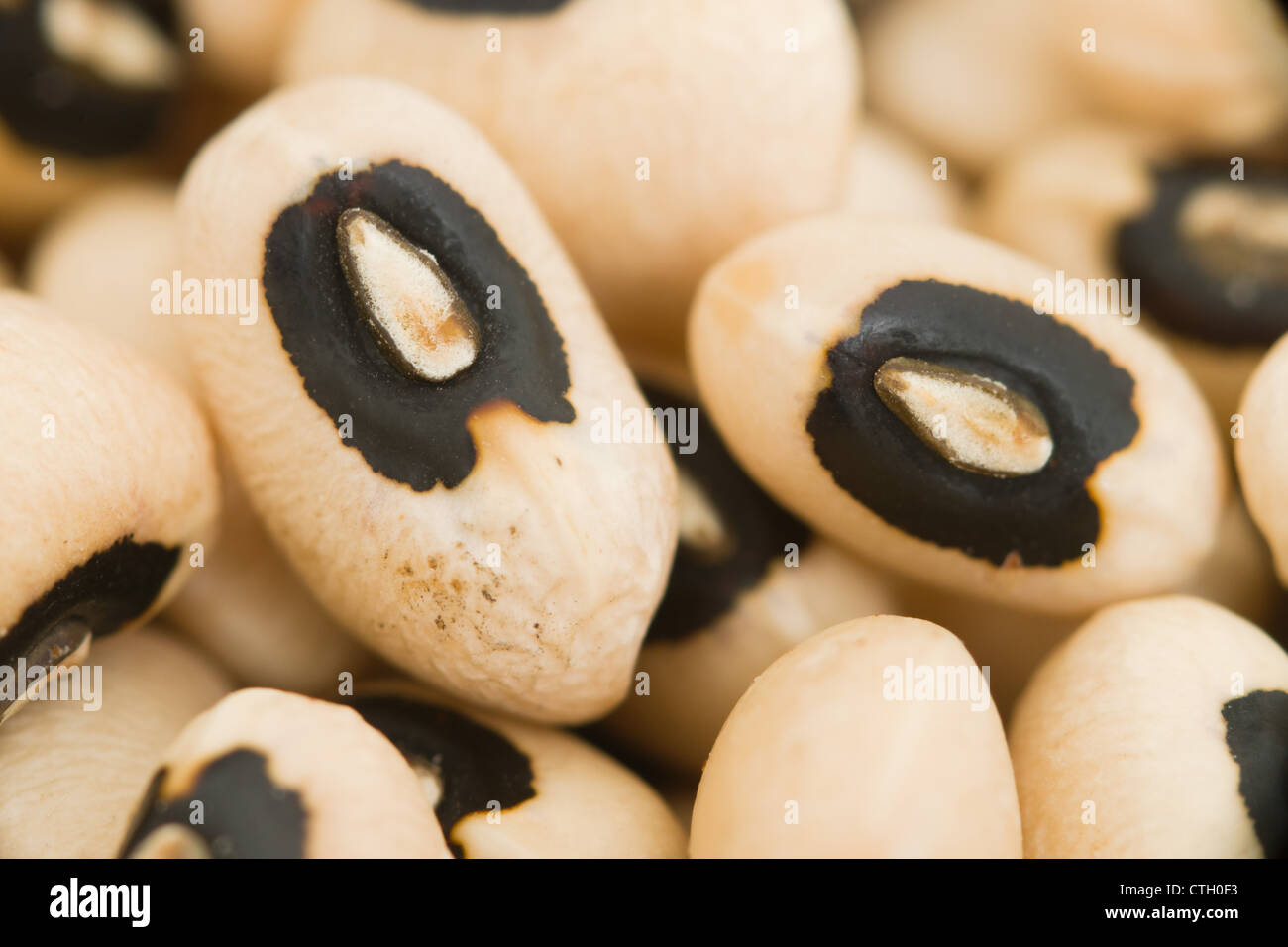 Dies ist ein Bild von black eyed Peas. Stockfoto Dies ist ein Bild von black eyed Peas. Stockfoto