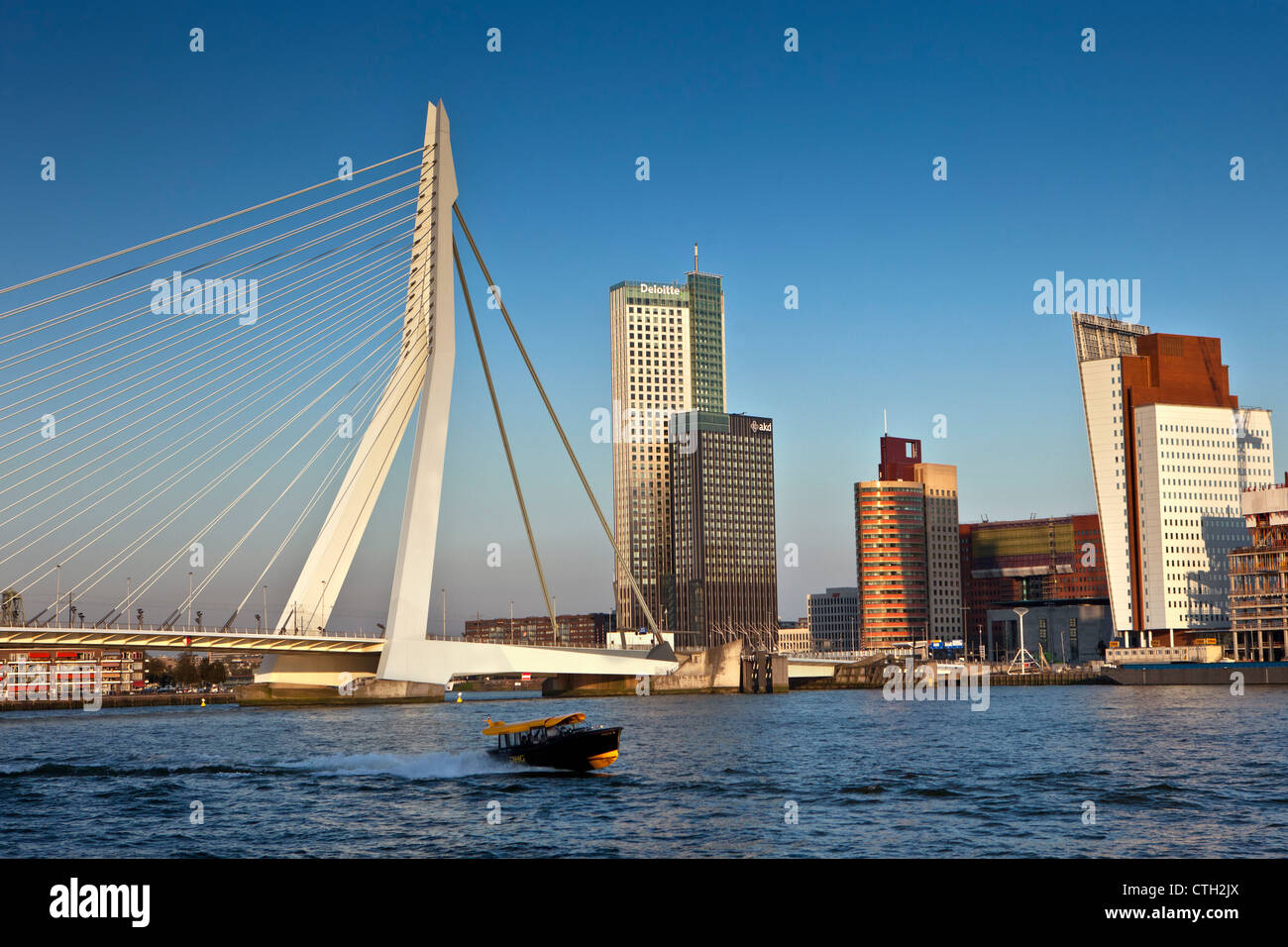Wohn- und Geschäftsviertel genannt Kop van Zuid. Brücke genannt Erasmusbrücke, Architekten Ben van Berkel. Stockfoto