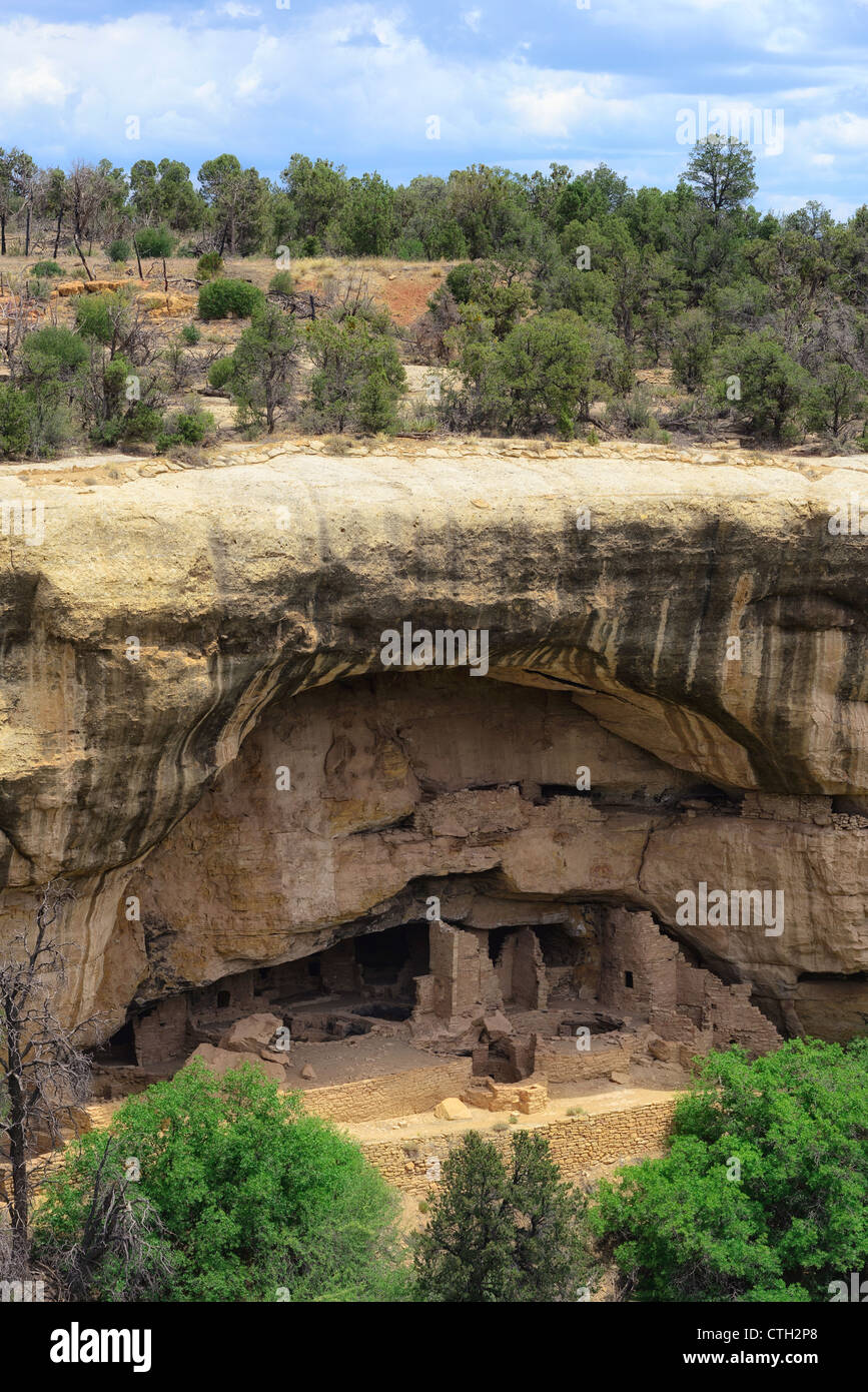 Eiche Baum-Haus, Native American Cliff Dwellings, Mesa Verde Nationalpark, Colorado, USA Stockfoto