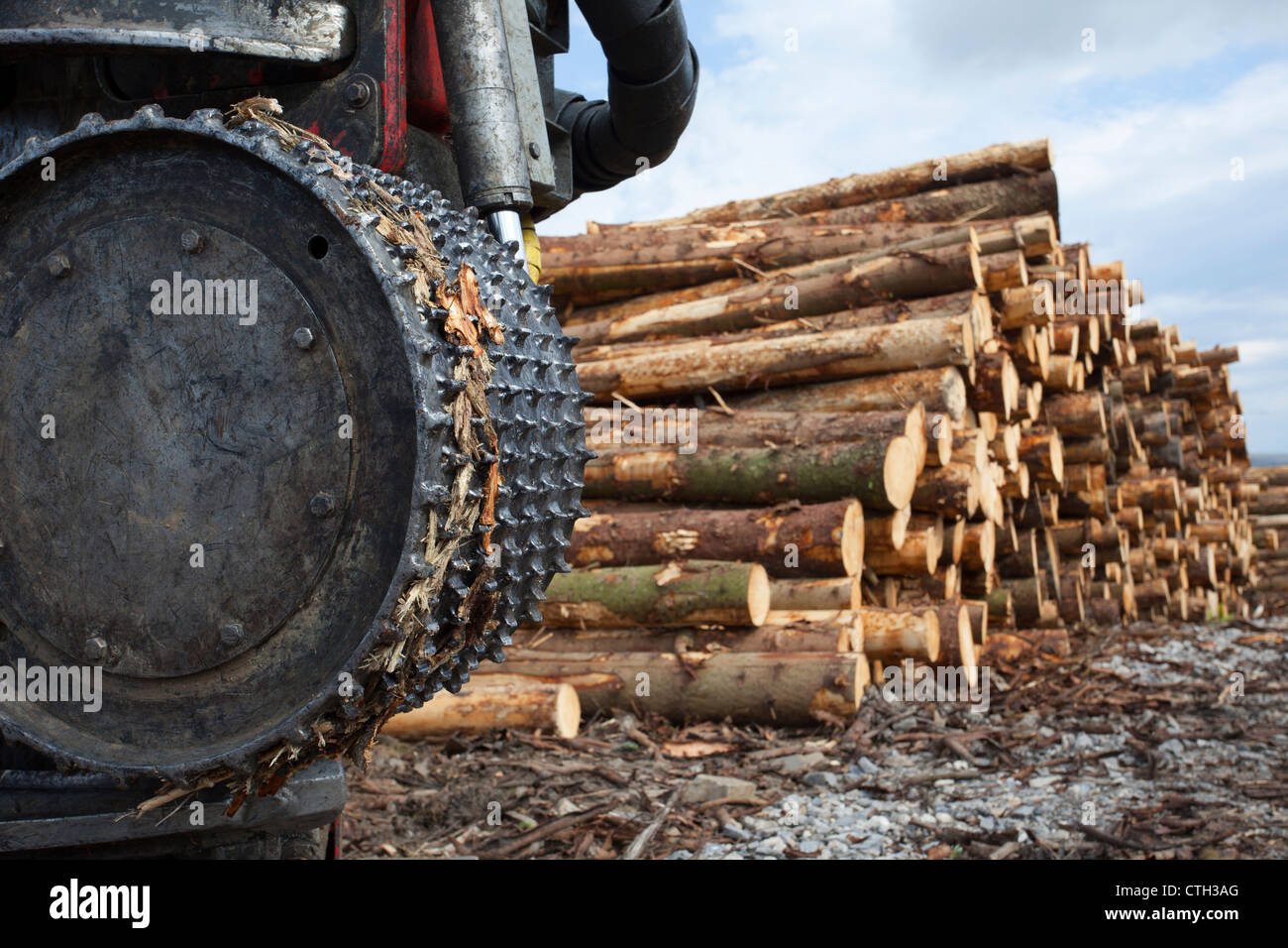 "Hohe Häuser"  HOHE Häuser Wald in Snaizeholme aus Widdale Holz-Plantage, Hawes in North Yorkshire Dales, UK Stockfoto