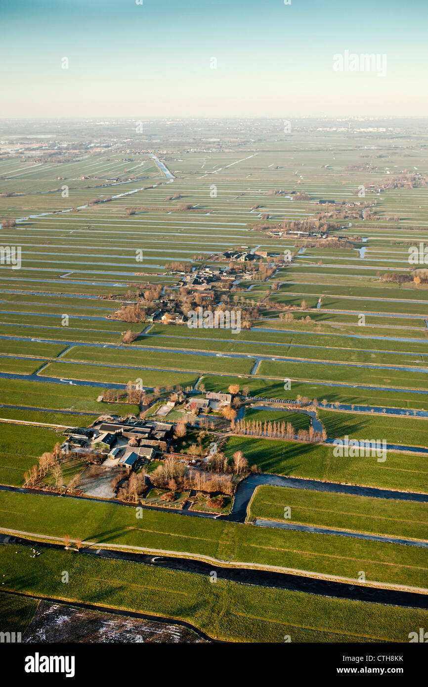 Die Niederlande, Kamerik, Bauernhöfe im Polder. Luft. Stockfoto
