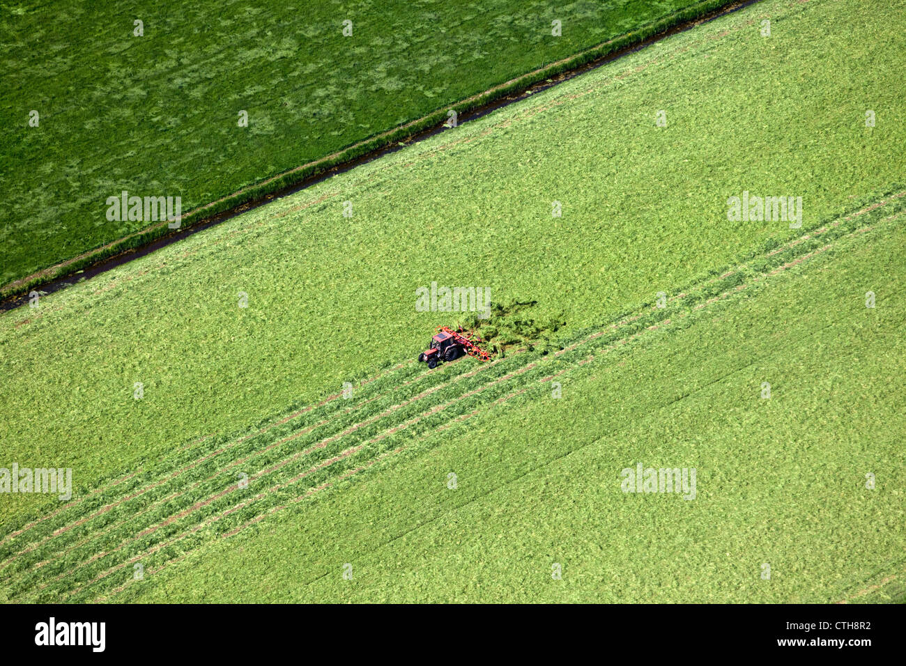 Niederlande, Breukelen, Traktor drehen Rasen. Luft. Stockfoto