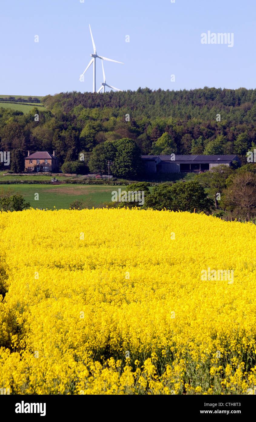Lanchester Valley view Stockfoto