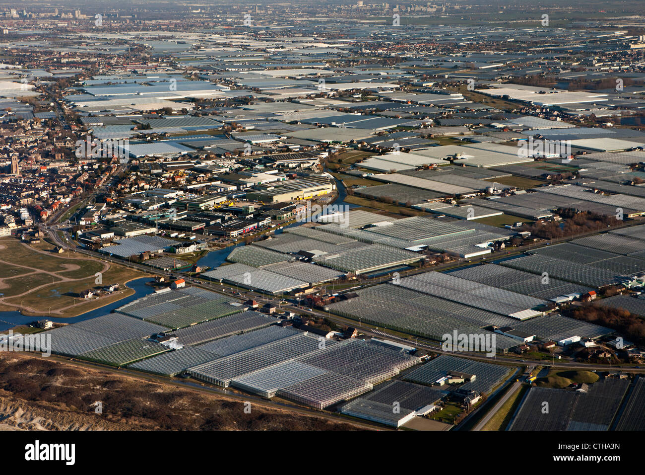 Den Niederlanden, Monster, Region Westland. Gartenbau in Gewächshäusern. Luft. Stockfoto