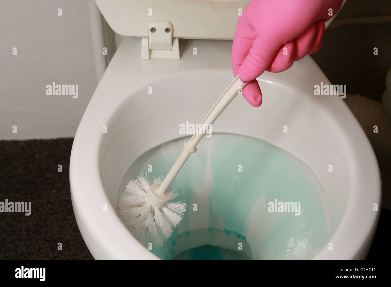 Reinigung Toilettewanne Stockfoto