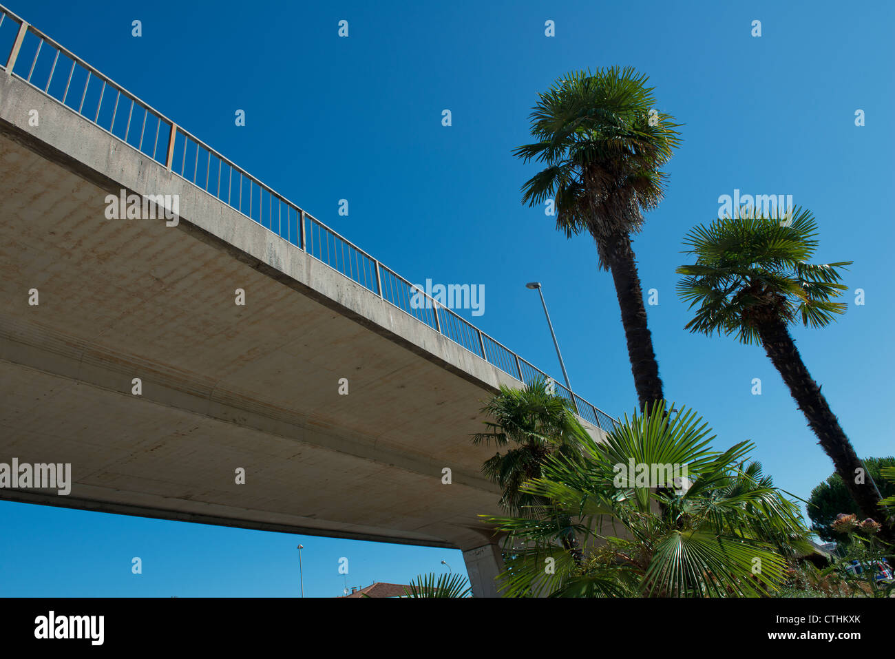 einige Palmen unter einer Überführung Stockfoto