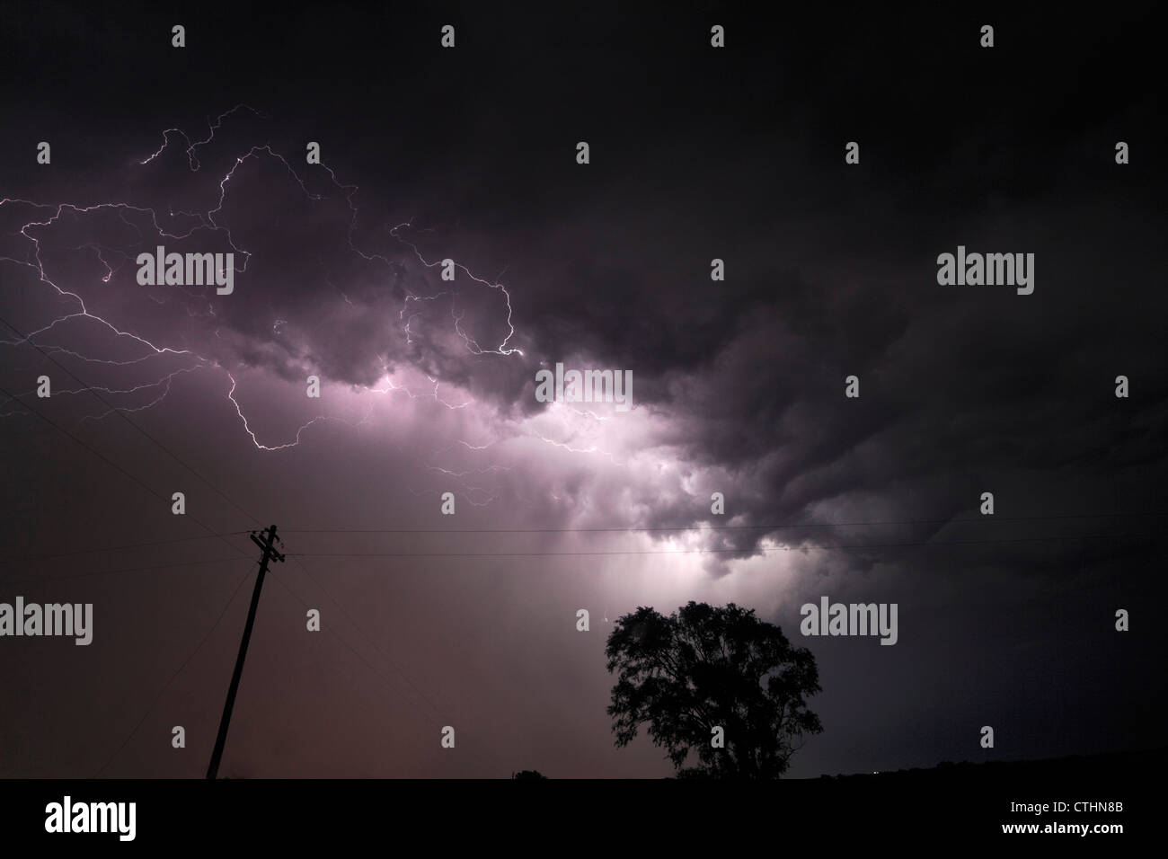 Blitz kriecht entlang der Unterseite einer Wolke, ein Baum und Utility Pole erfüllten. Stockfoto