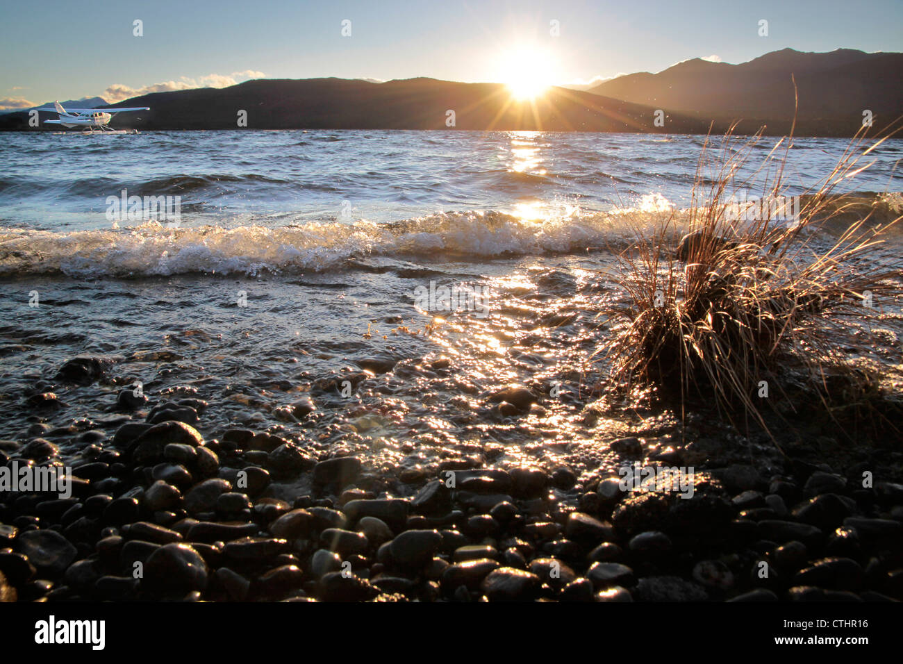 Ufer von Te Anau, Southland, Südinsel, Neuseeland Stockfoto