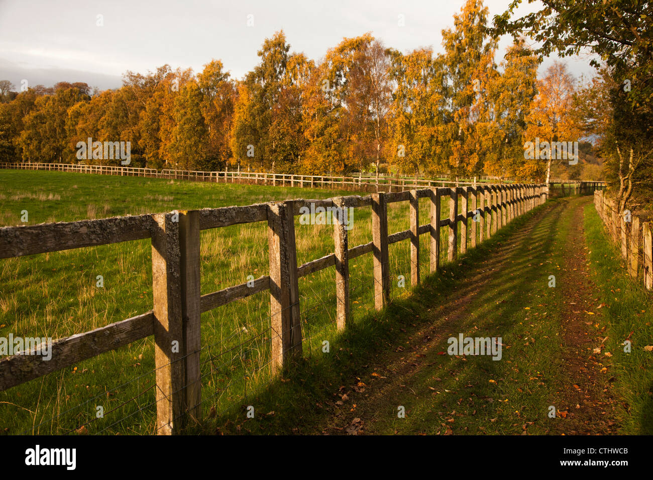 Reifenspuren entlang eines Zaunes In einer ländlichen Gegend im Herbst; Scottish Borders, Schottland Stockfoto