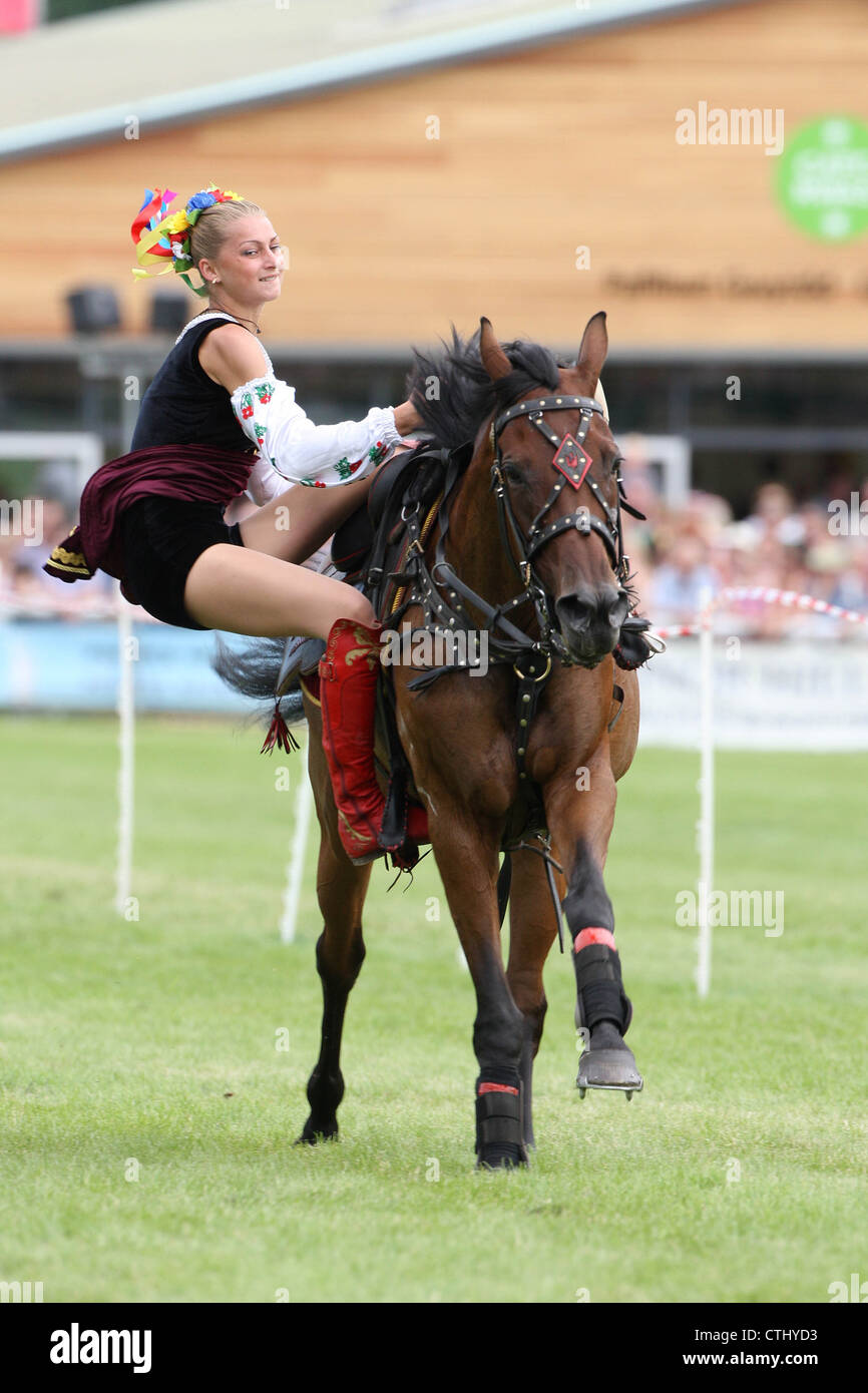 Ukrainischen Kosaken Preform auf 2012 Royal Welsh Show Stockfoto