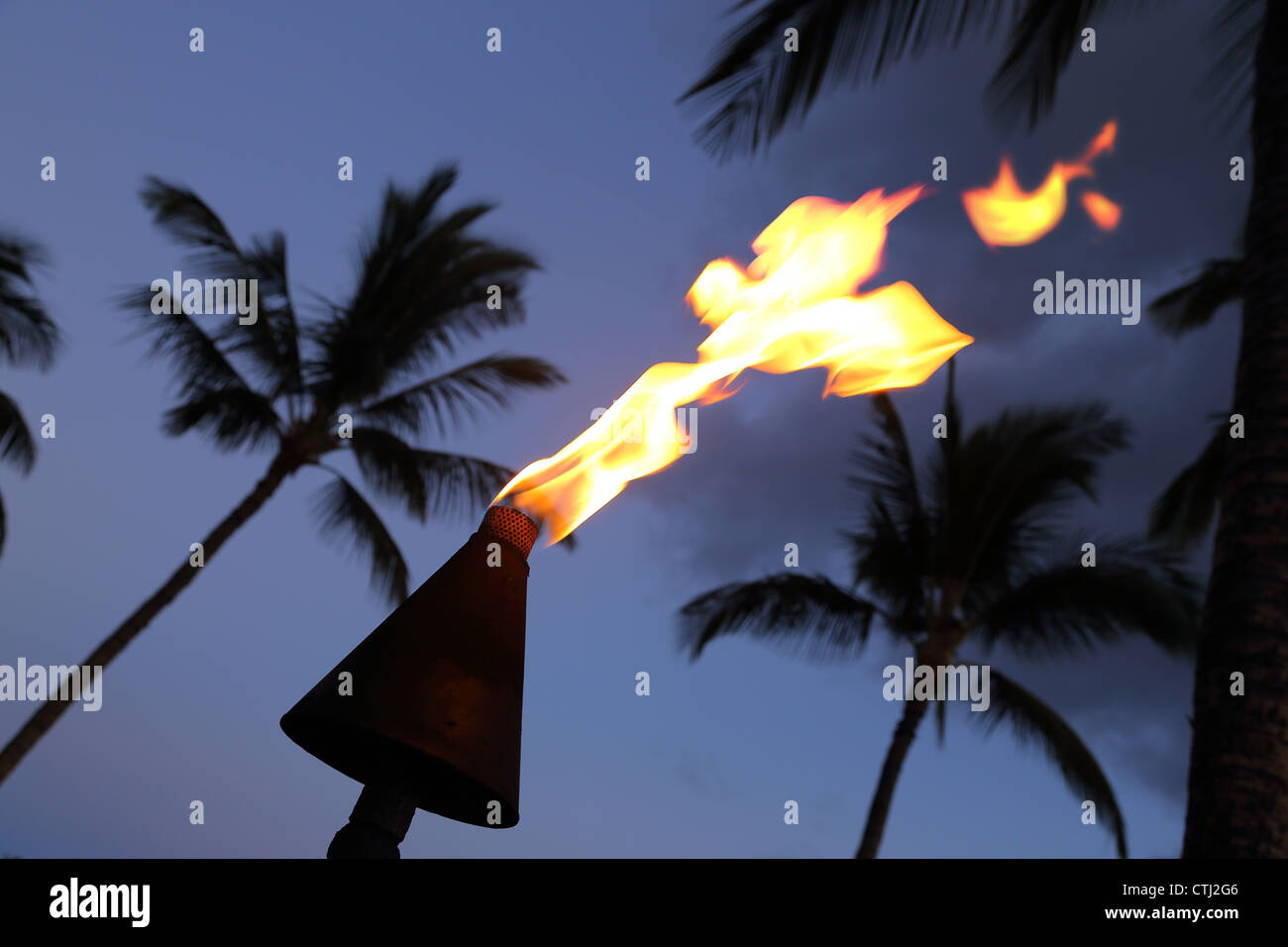 Brennende Fackel und Palmen Bäume in der Nacht, Hawaii Stockfoto