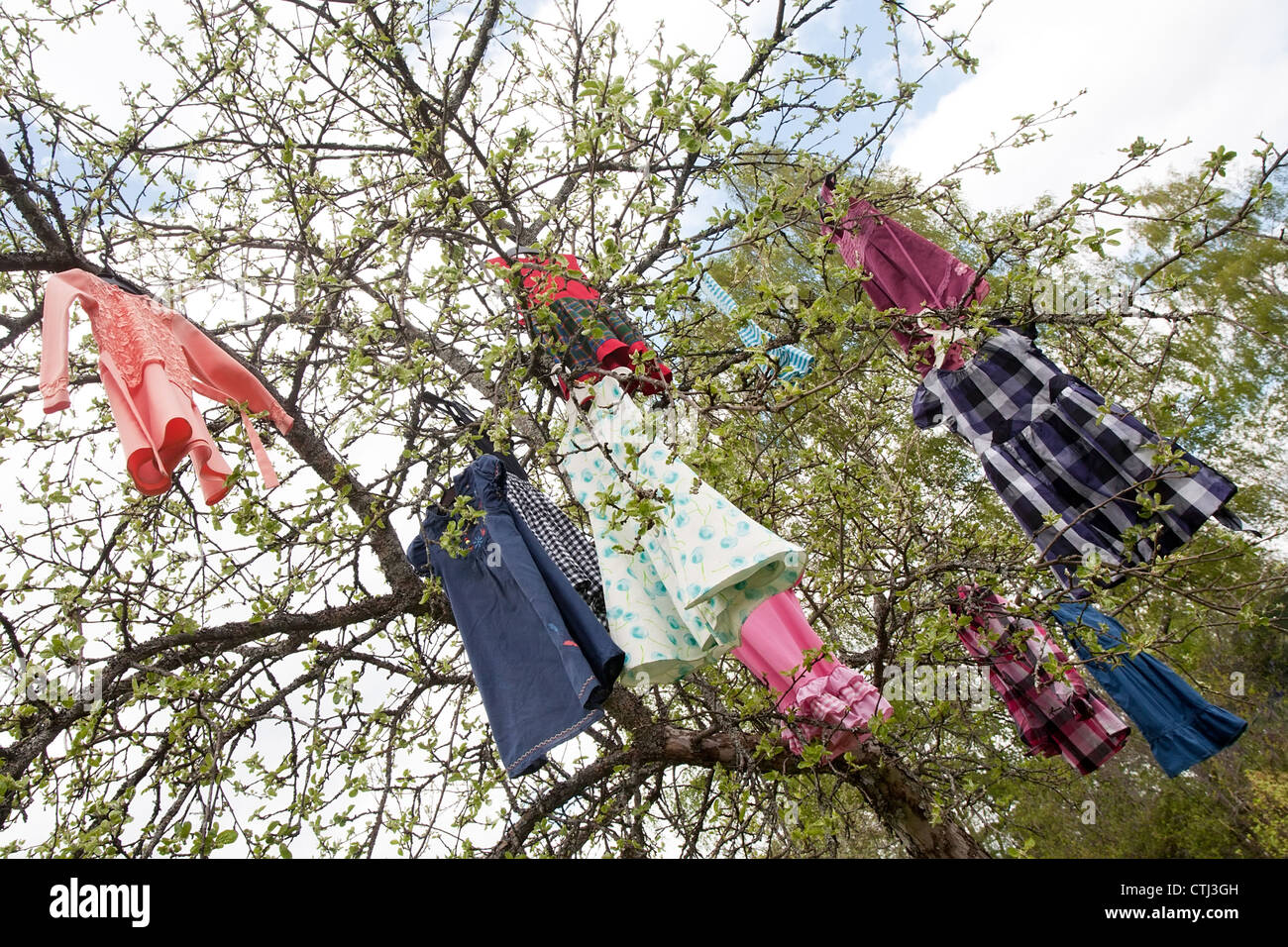 Baum mit Mädchens farbige Kleider hängen Zweige Stockfoto