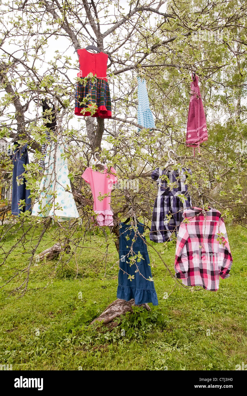 Baum mit Mädchens farbige Kleider hängen Zweige Stockfoto