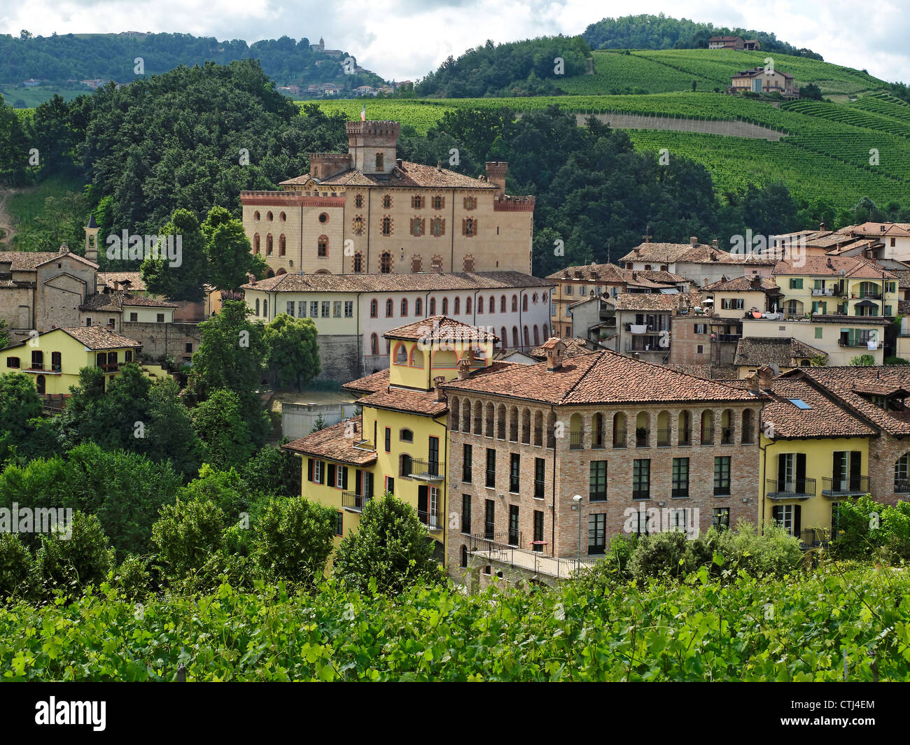 Barolo-Tal, Weinberge, Castell di Barolo, Provinz Piemont, Italien Stockfoto