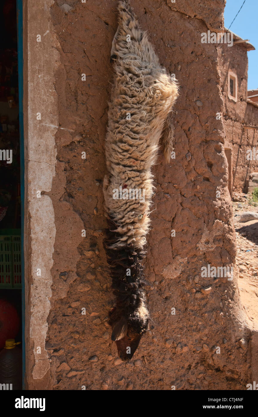 Schafe an einem Haken im südlichen Atlasgebirge, Marokko Stockfoto