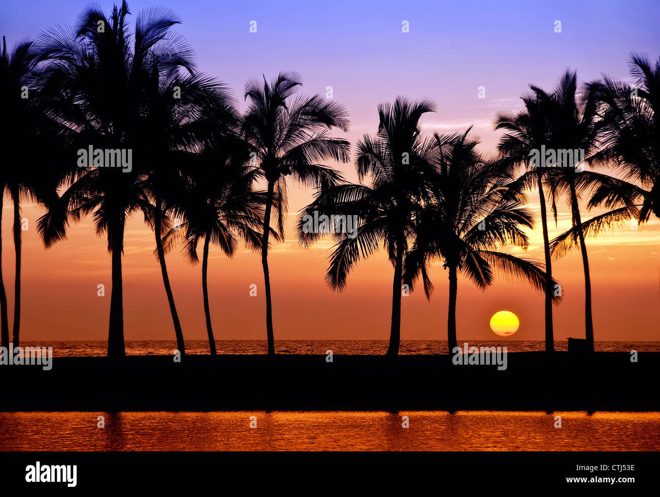 Hawaii Palme Baum Sonnenuntergang auf Big Island Anaehoomalu Bay Stockfoto