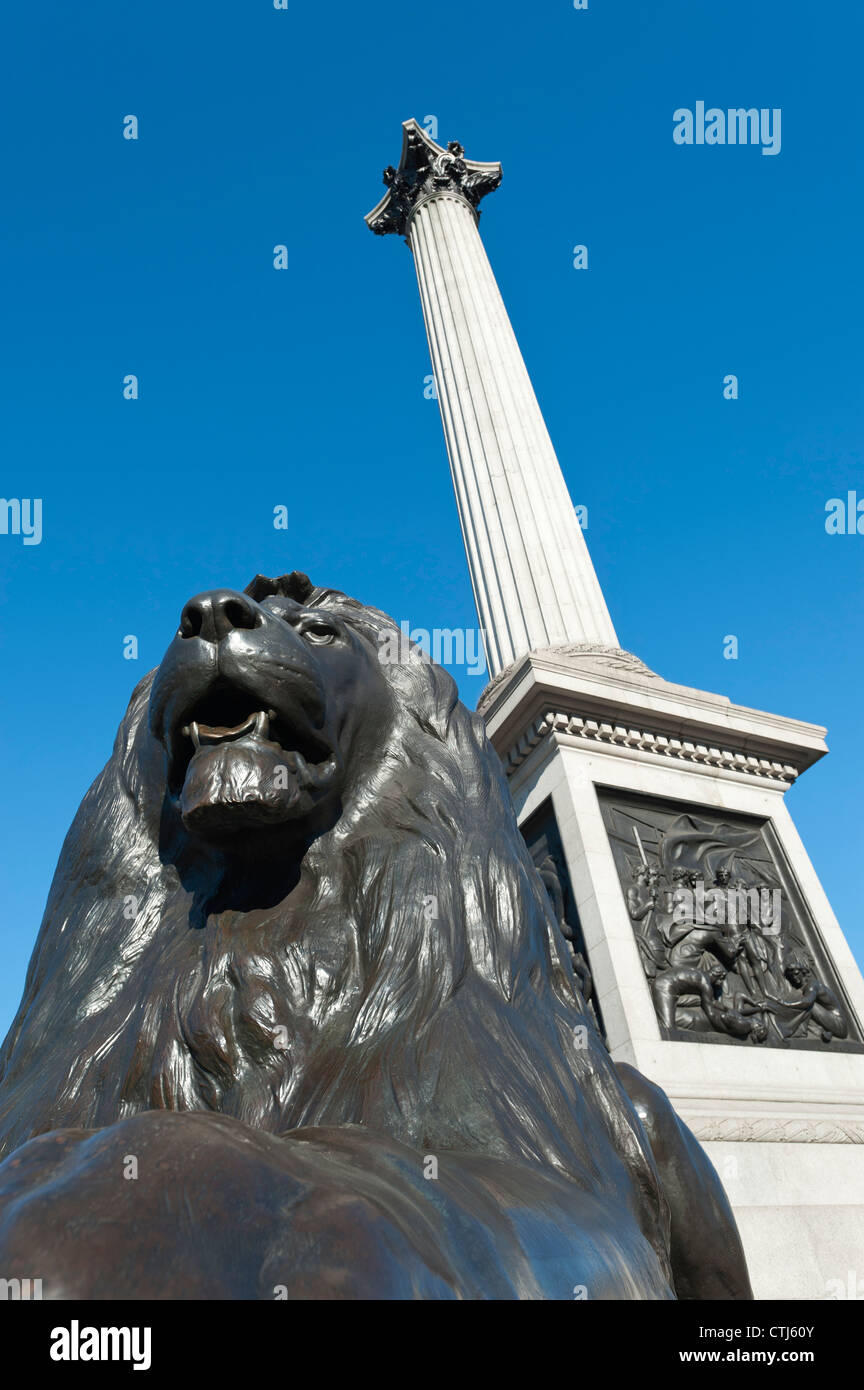 Löwenstatue und Nelsonsäule, Trafalgar Square, London, England Stockfoto