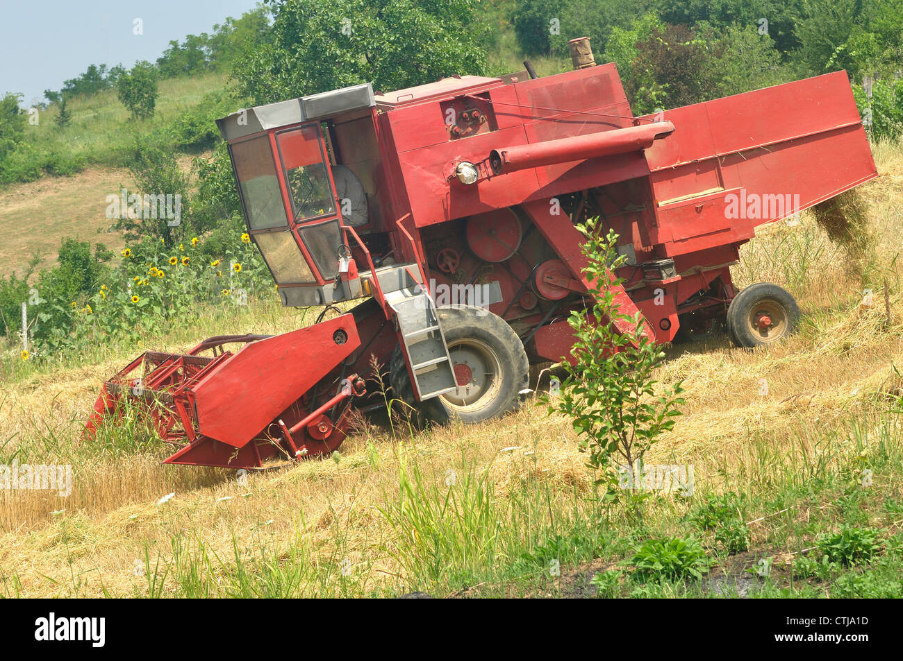 Rot zu kombinieren, im Bereich der Weizen Ernte Stockfoto