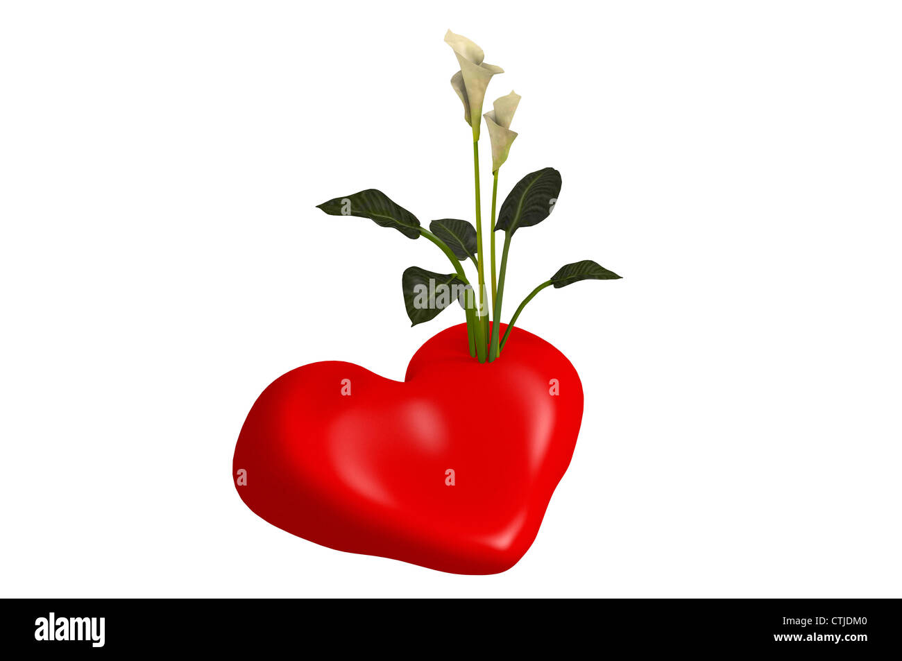 3D-Illustration, digital design Blumen stach in einem roten Herzen gratulieren verschenken Valentinstag, mit einem weißen Hintergrund oder Stockfoto
