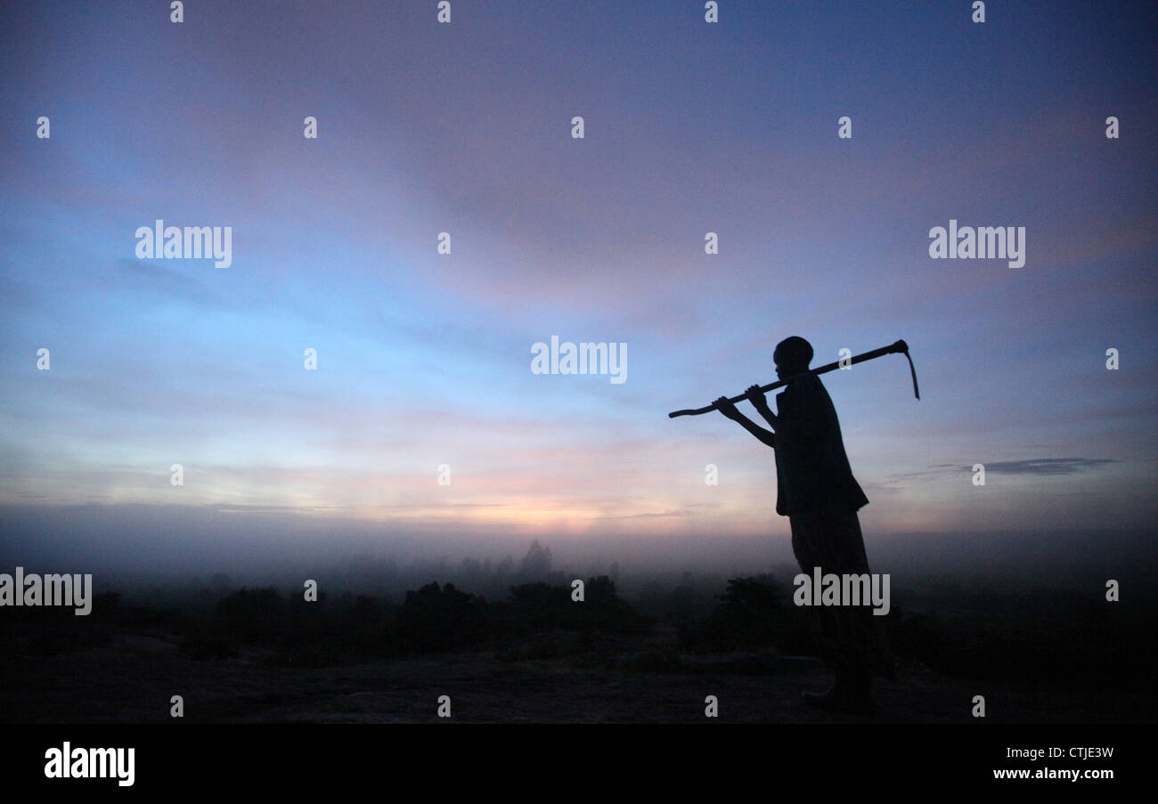 Ein Landwirt Heads als Morgenrot über die Stadt Lira im Stadtteil Lira in Norduganda zu arbeiten. Stockfoto