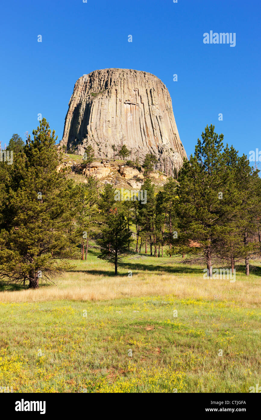 Devils Tower Nationalmonument in Wyoming, USA. Stockfoto