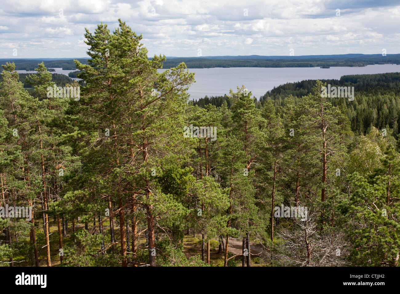 Schöne Aussicht, Haralanharju Kangasala Finnland Stockfoto