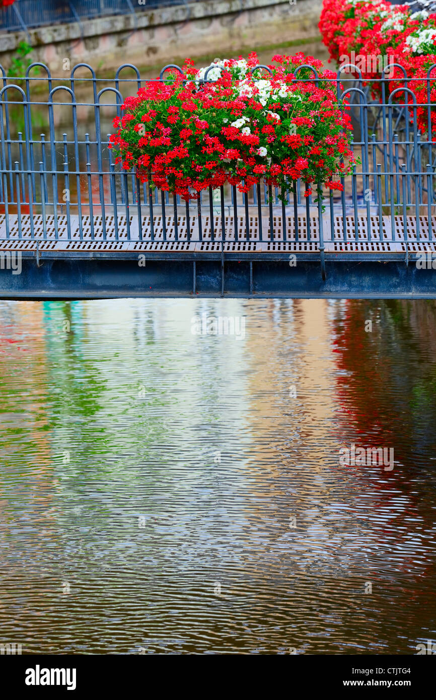 Metall-Brücke am Bach Leuk (auch Leukbach) und Geranien Blumen in Saarburg, Rheinland-Pfalz, Deutschland, Sommer Stockfoto