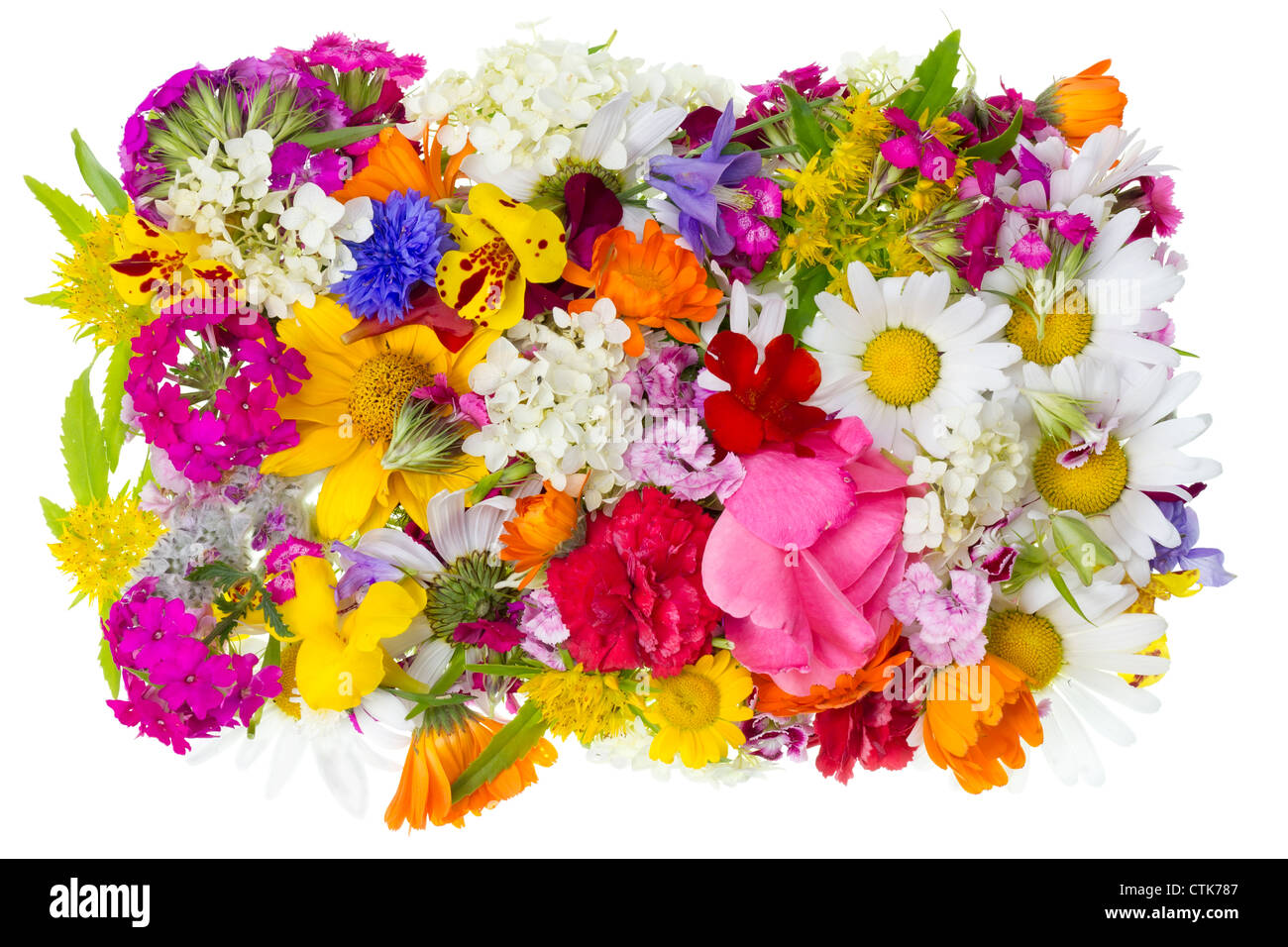 Einfache Garten Sommerblumen heap Textur isoliert. Saison-Natur-Konzept Stockfoto