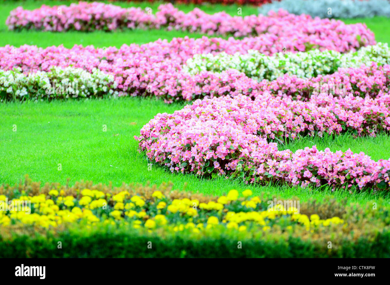 Schönen Blumengarten in Schönbrunn - Wien Stockfoto