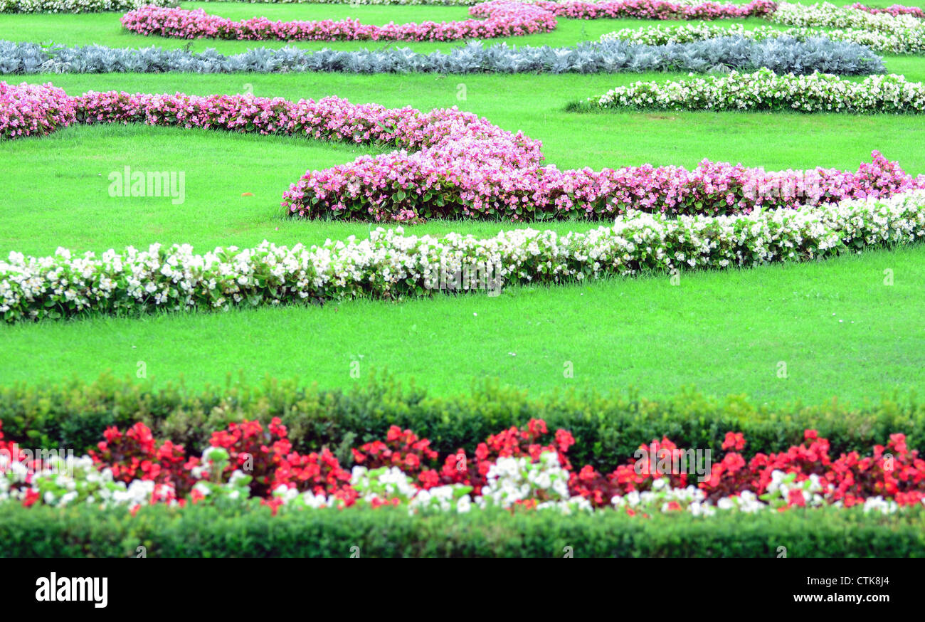 Schönen Blumengarten in Schönbrunn - Wien Stockfoto