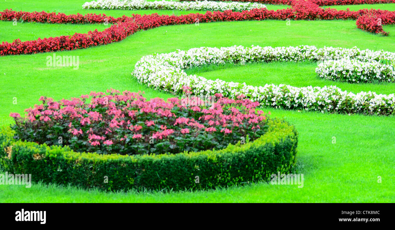 Schönen Blumengarten in Schönbrunn - Wien Stockfoto