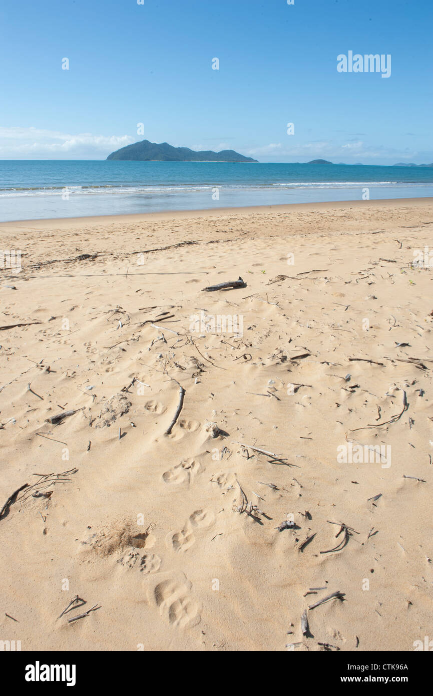 Ebbe am Wongaling Strand, ein Teil der Mission Beach, Blick über die Coral Sea nach Dunk Island Stockfoto