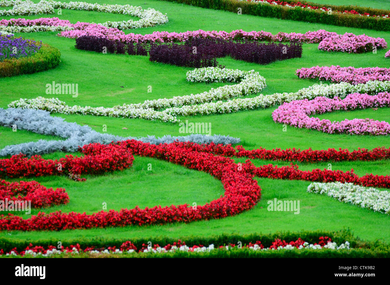Schönen Blumengarten in Schönbrunn - Wien Stockfoto