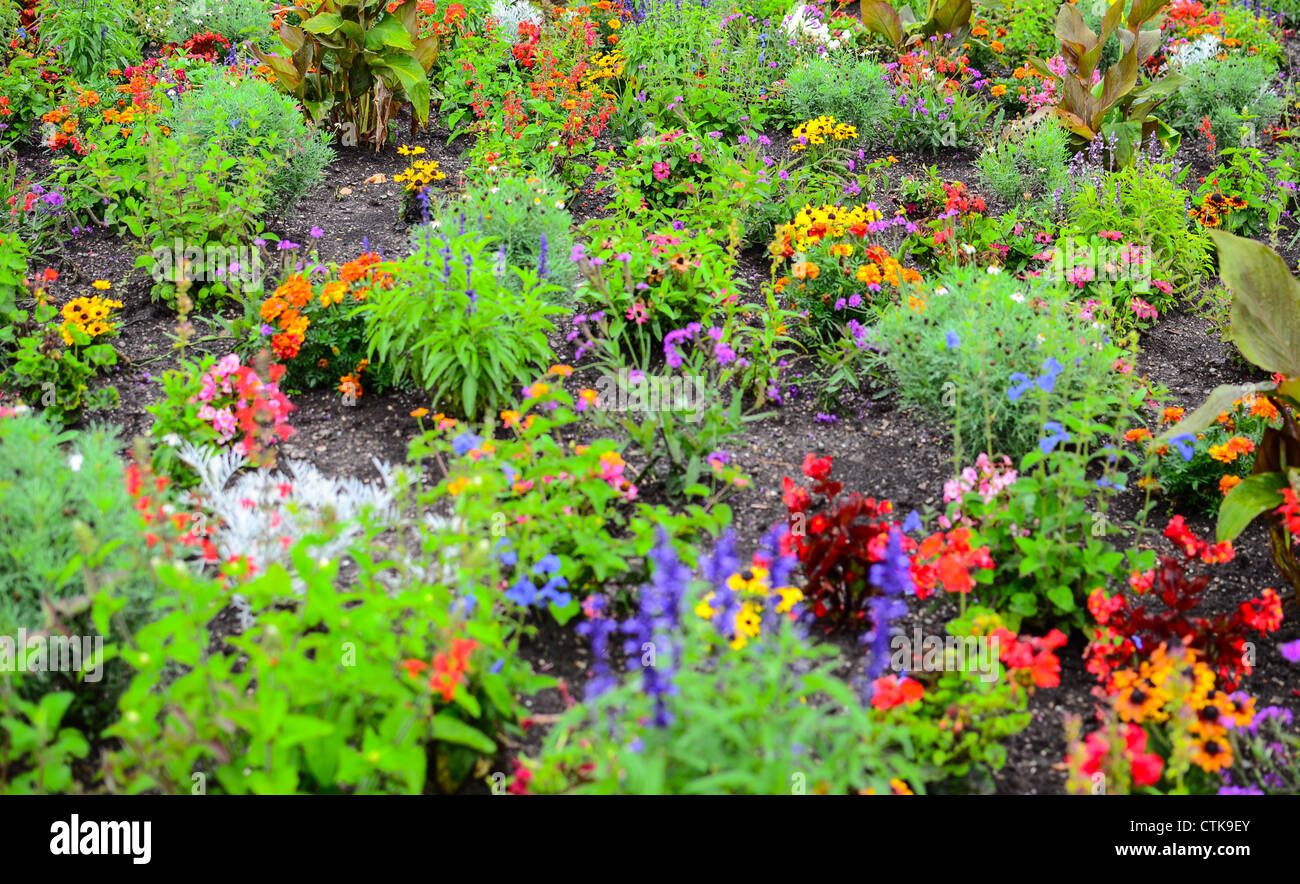 Blumengarten Stockfoto