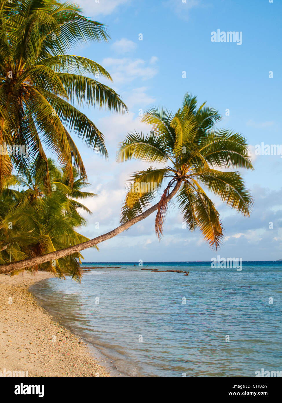 Traumstrand auf Tobago Cays West Indies Stockfoto