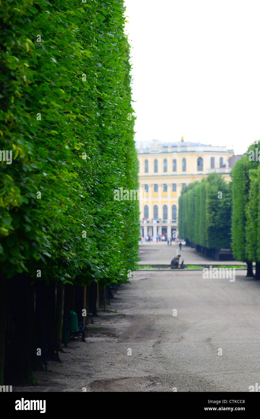 Schloss Schönbrunn in Wien Stockfoto